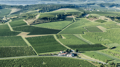 Paysage-Segonzac-credits : Stephane Charbeau