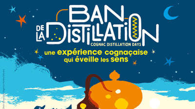ban_distillation-2025-vignette
