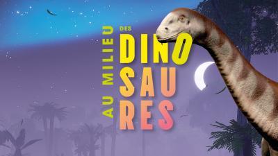 Vignette-dinos-site-web