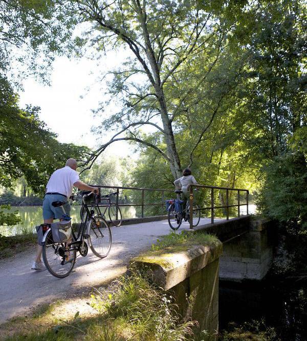 personnes à vélo au bord du fleuve_à cognac_st-brice-