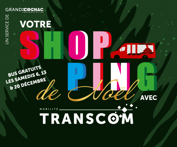 affiche shopping de noel